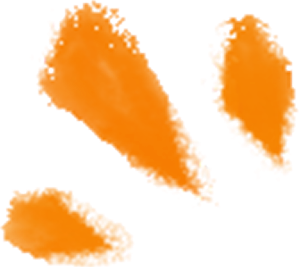orange_deco.png